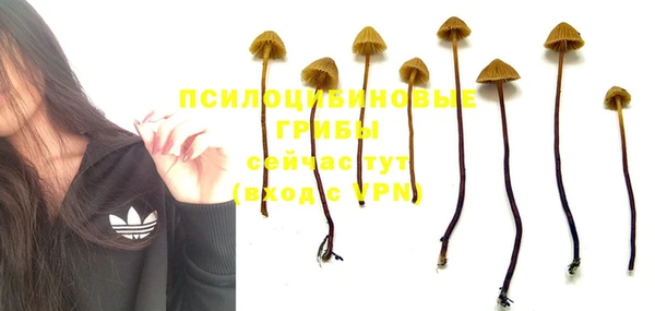 тгк Приозерск
