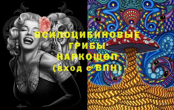 PSILOCYBIN Вязьма