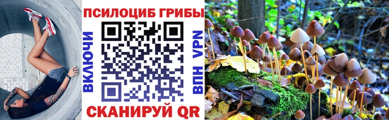 omg   цена наркотик  Борзя  Псилоцибиновые грибы мухоморы 